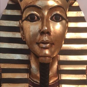 Meet your Posher, Ray